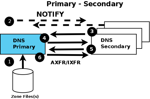 primary-secondary.webp