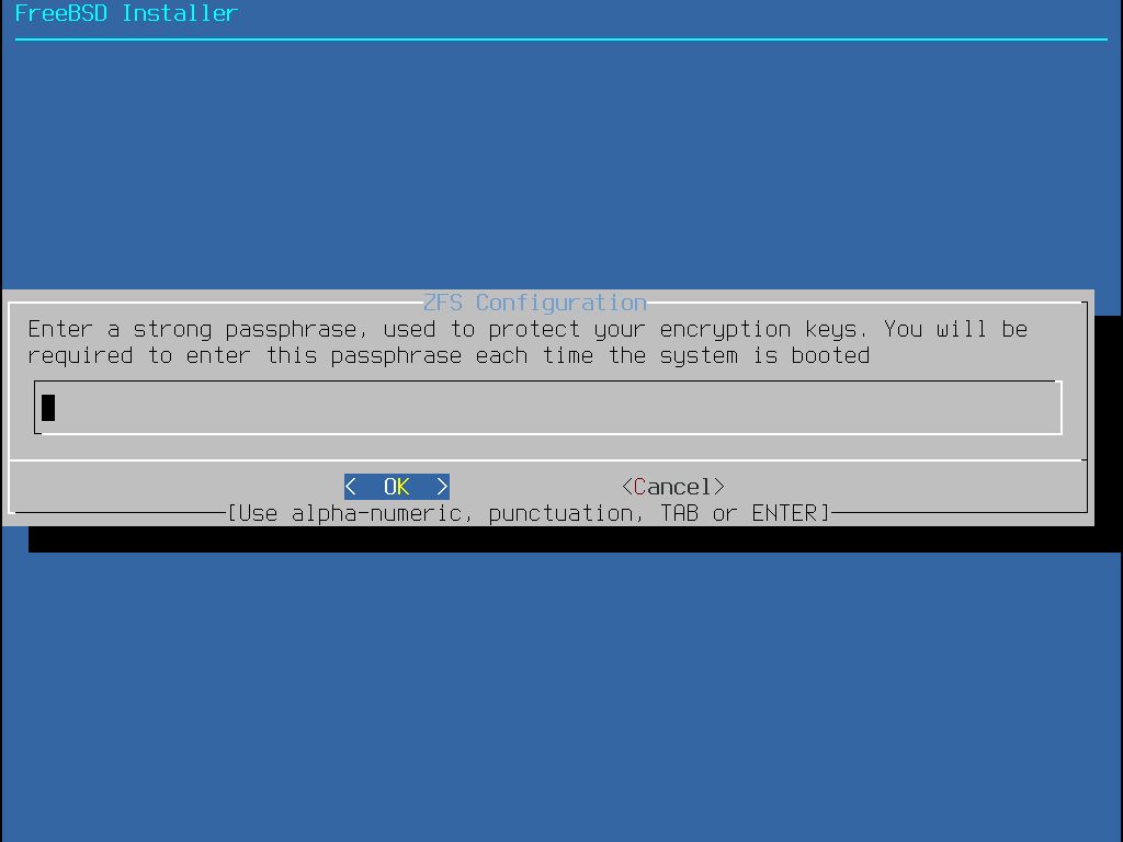 29.DiskEncryptionPassword